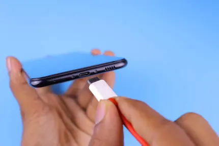 Kasino Mobile Wins Apl Mudah Alih